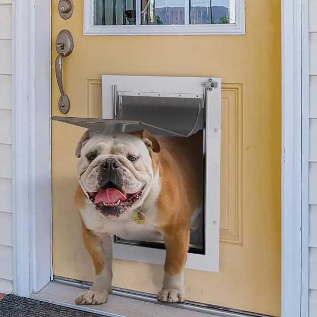 Pet door installed in an exterior door