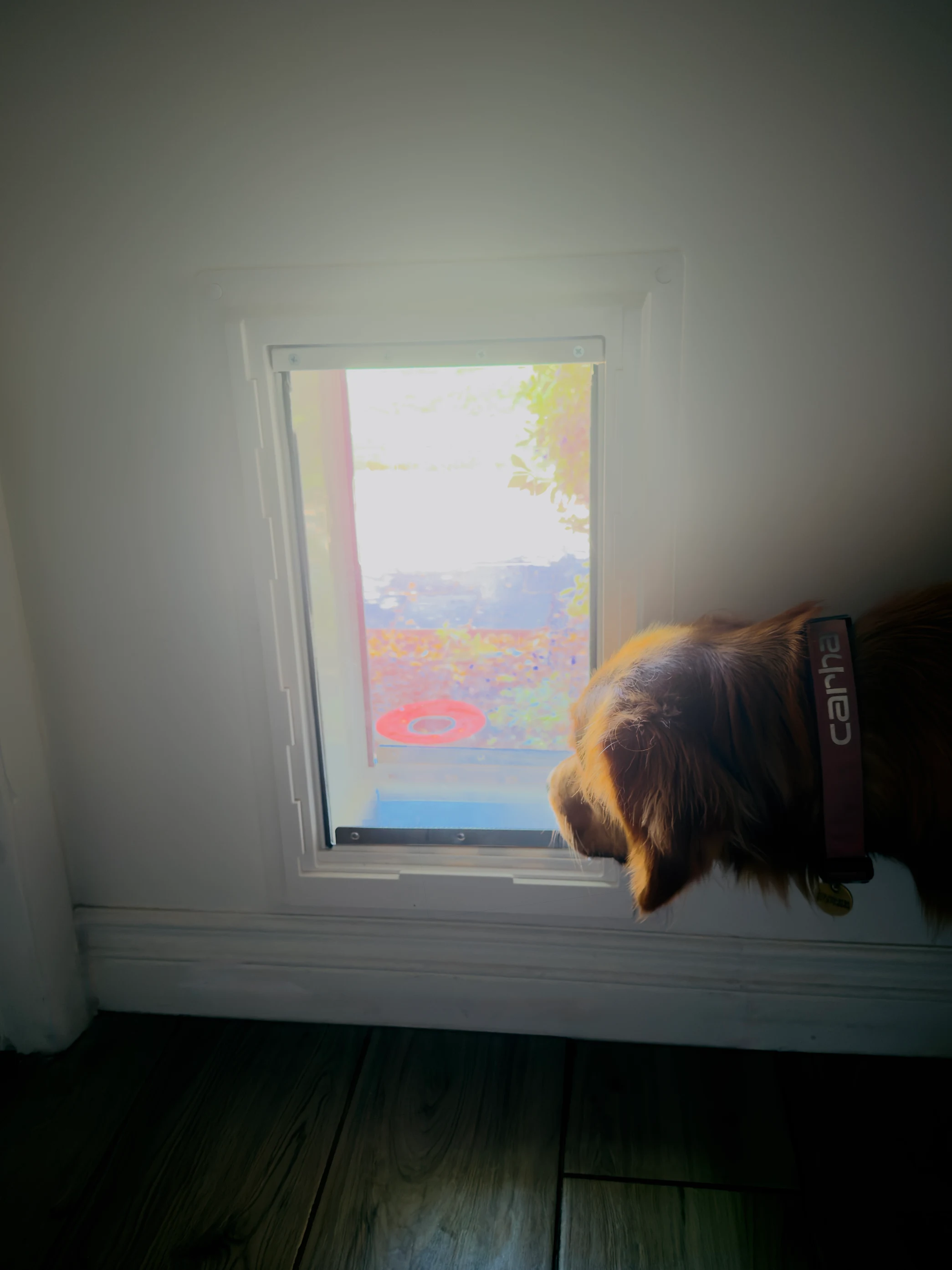 Completed Apollo pet door installation in a customer home, project 3